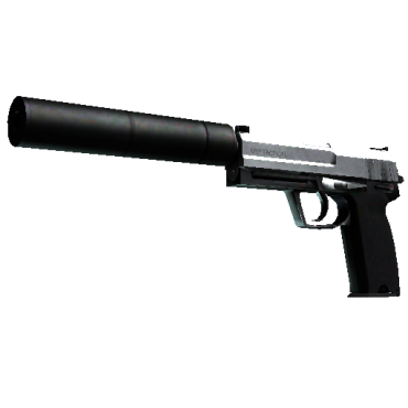 USP-S | Нержавейка (После полевых испытаний)